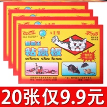 Sticky mouse board adhesive paste increased thickening super strong sticky sticky mouse sticky mouse sticky mouse drug artifact home a nest end