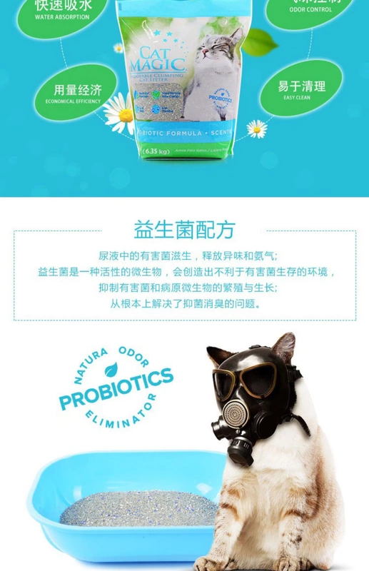 [14 lbs] CatMagic 喵 膨 bentonite mèo có một nhóm khử mùi thơm nhà vệ sinh mèo nút cát - Cat / Dog Beauty & Cleaning Supplies lược chải ve chó