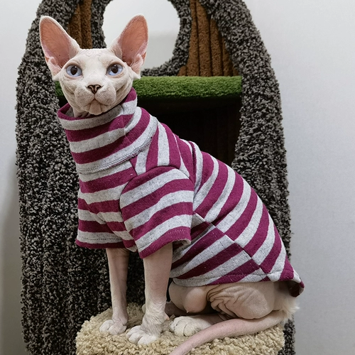 Двухцветная удерживающая тепло демисезонная хлопковая толстовка