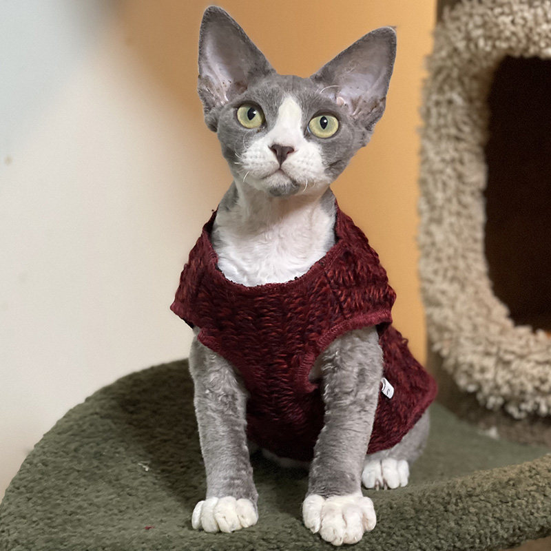 Cat-free clothes Sfinkestevin Kohnes roll-coat warm and thickened red hair comfortable coat