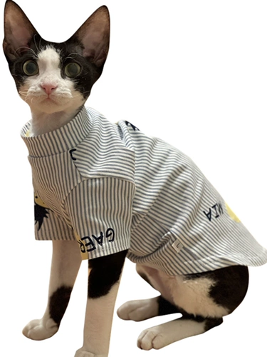 Одежда кошачьей одежды Sphinx Devin koenice Summer Thin Thin подвеска