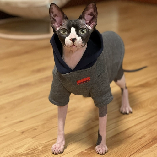 Осенняя хлопковая утепленная толстовка, удерживающий тепло балахон