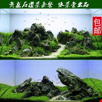 Fish tank Qinglong stone Scenery Plan Water Grass Scissors Simulation Water Grass Decorate Niti Sloth Water Grass Decoration