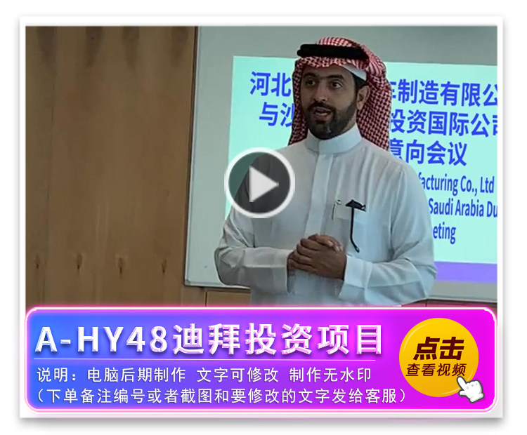 A-HY48迪拜投资项目文件夹