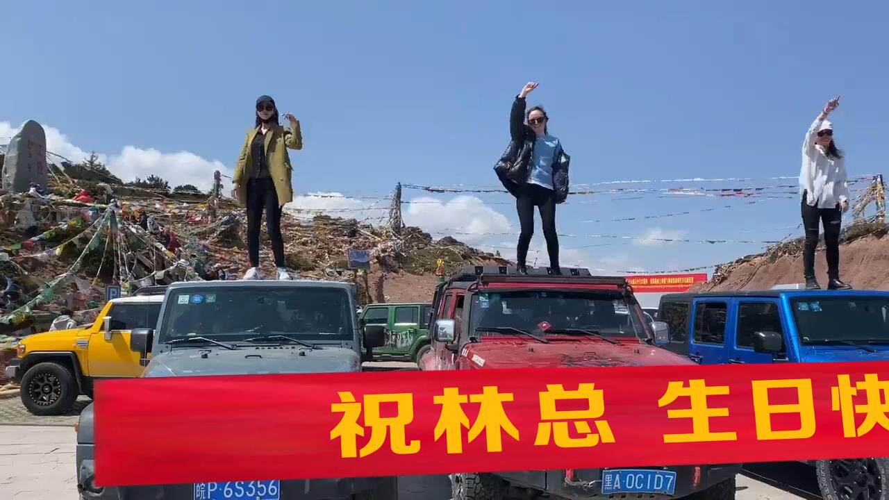 一排美女站在车上跳舞