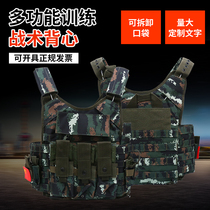 Quick Demolition Special Soldier Tactical Vest Army Meme Cs Protective Gear Anti-Stab Body Armor Outdoor Multifunction Camouflak Waistcoat