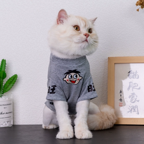Интернет-знаменитость кошачья одежда летняя тонкая плюша