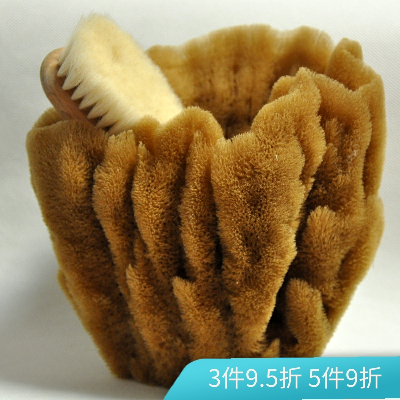 Natural sponge bottle decorations Collections Store viewing Display cabinets Model room decoration sponge non-bath brushes