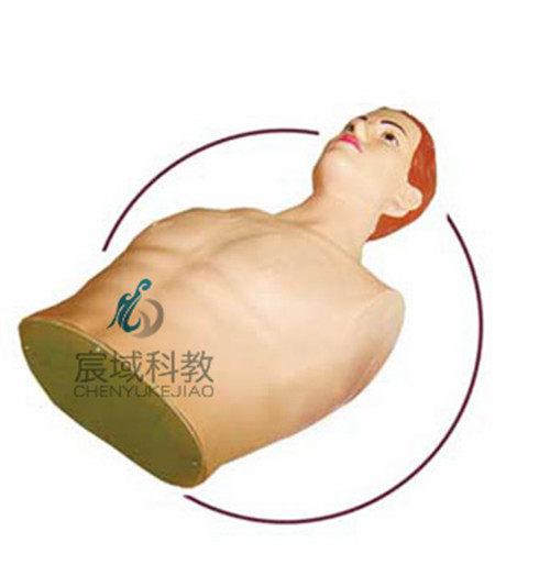 心包穿刺与心内注射仿真电动模型