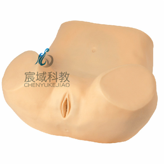 高级妇科训练模型临床妇科检查教学训练练习模型