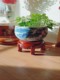 Special Offer: Chinese-Style Antique Imitation Solid Wood Flower Stand, Pastoral Living Room Floor-Standing Elm Wood Flower Pot Stand, Fish Tank Stand, Craft Base