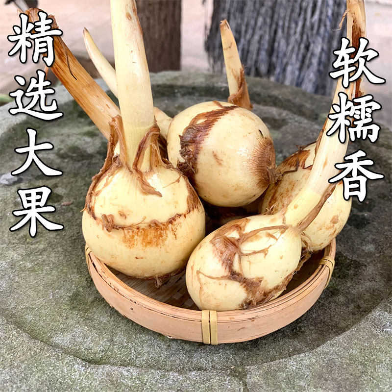 新鲜茨菇怎么选？云南野地慈姑清甜粉糯，应季宝藏菜全解析！🥬-荸荠-淘宝百科网