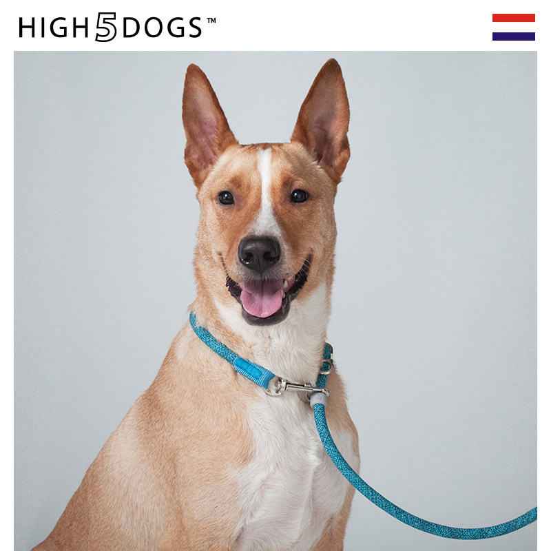 High5Dogs conductor multifunction traction P rope dog rope dog chain Labrador gold wool traction belt