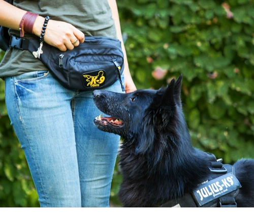 Julius K9 Поясная сумка для тренировок, интерактивный ниблер для выхода на улицу