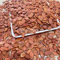 Guanhua Xinfeng melon seeds New watermelon seeds Xinfeng red melon seeds fried cooked original flavor Wedding Xinfeng Red Melon seeds
