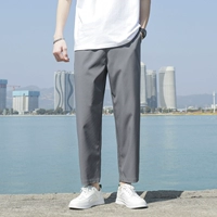 8801-Solid Color Darke Grey