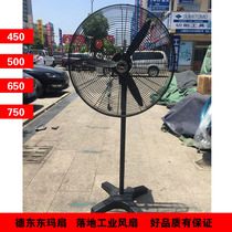 Shanghai Dedong industrial fan Dongma floor fan fan DF450 550 650 750 speed control shaking head