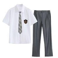 Рубашка, штаны, галстук, значок