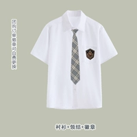 Рубашка, галстук, значок