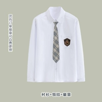 Рубашка, галстук, значок