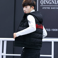 2019 nam mới mùa đông xu hướng Hàn Quốc thương hiệu vest vest vest vest xuống bông nhỏ vest hood - Áo vest cotton áo khoác lông