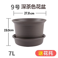 № 9 среднего цвета чая (отправка потто)