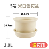 № 5 Средний световой рис (отправка Потто)