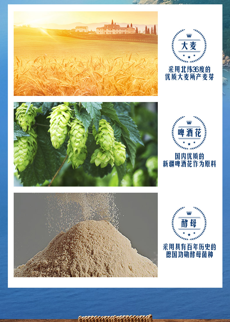 崂山啤酒 崂友记经典装 500ml*12听*2箱 图4