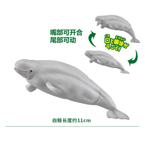 Takara tomy, морская модель животного, игрушка, крокодил, бегемот