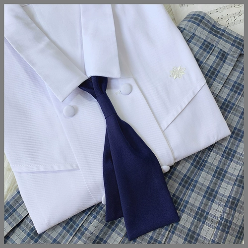 Оригинальная студенческая юбка в складку, форма, рубашка, делается под заказ