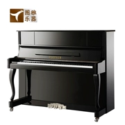 Van Gogh chuyên nghiệp chơi đàn piano thẳng đứng TF23 mới 88 giai đoạn quan trọng chất lượng đàn piano màu đen gỗ nguyên liệu chuyển động