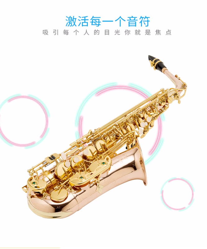 Phốt pho đồng được chạm khắc alto saxophone Nhạc cụ phương Tây saxophone gió E-người lớn mới bắt đầu chơi thực hành FAS-788