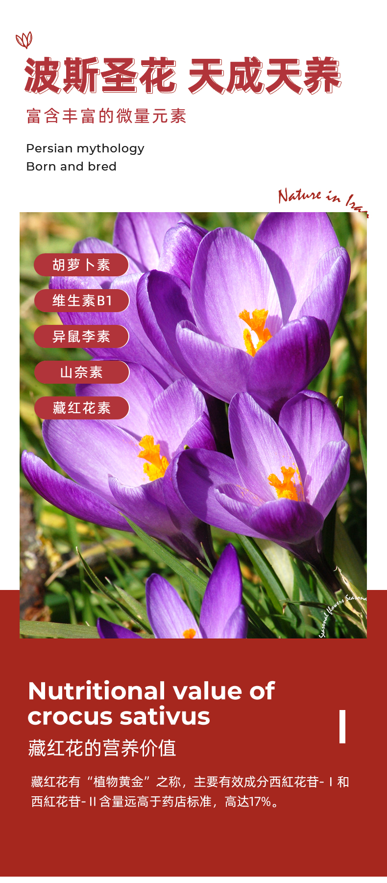 港品一家 伊朗进口 特级藏红花 2g*2件 图3