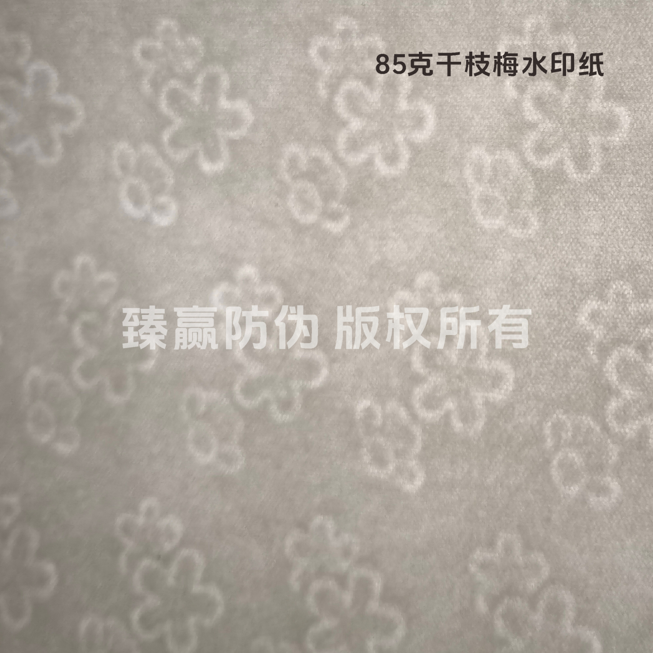 85克千枝梅水印纸