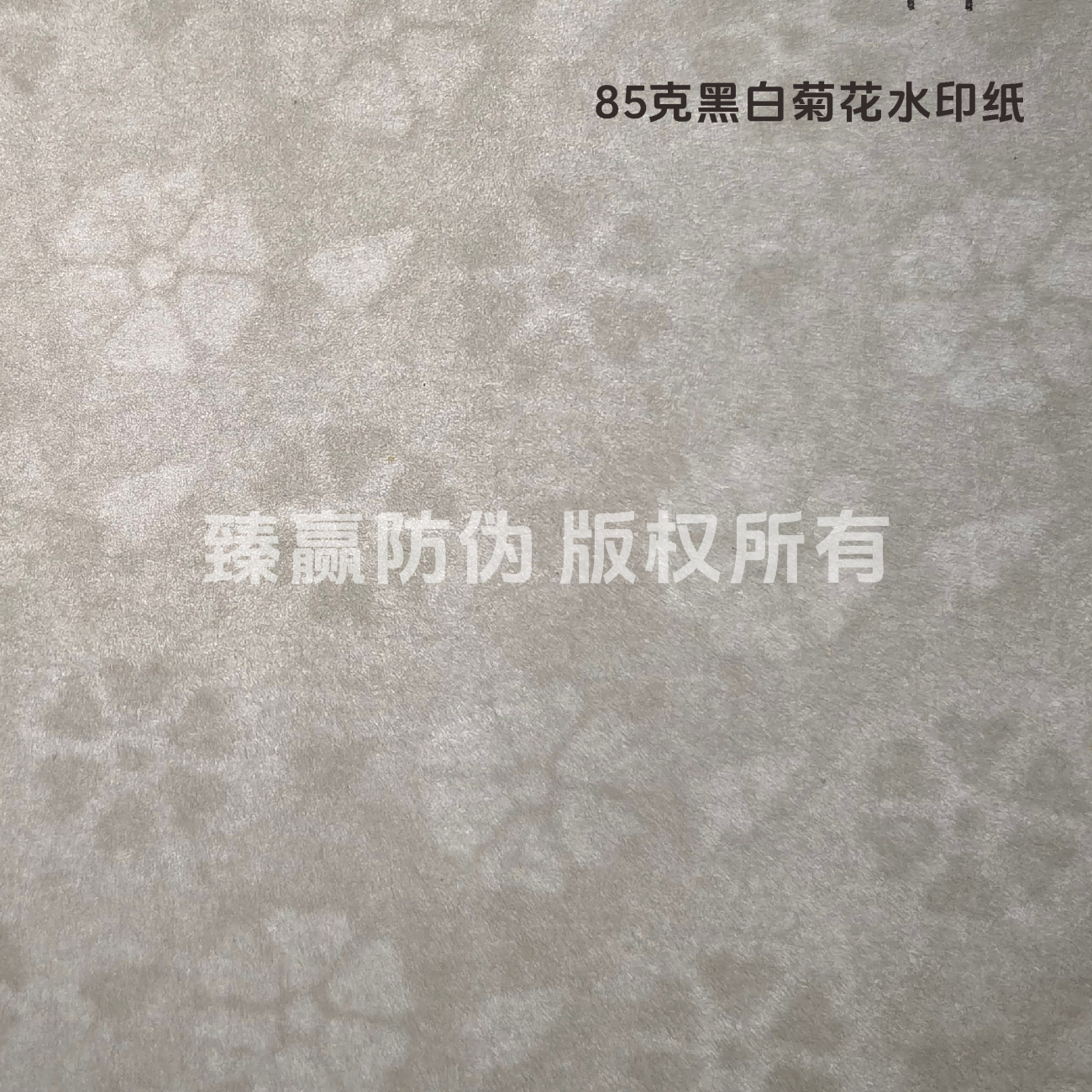85克黑白菊花水印纸