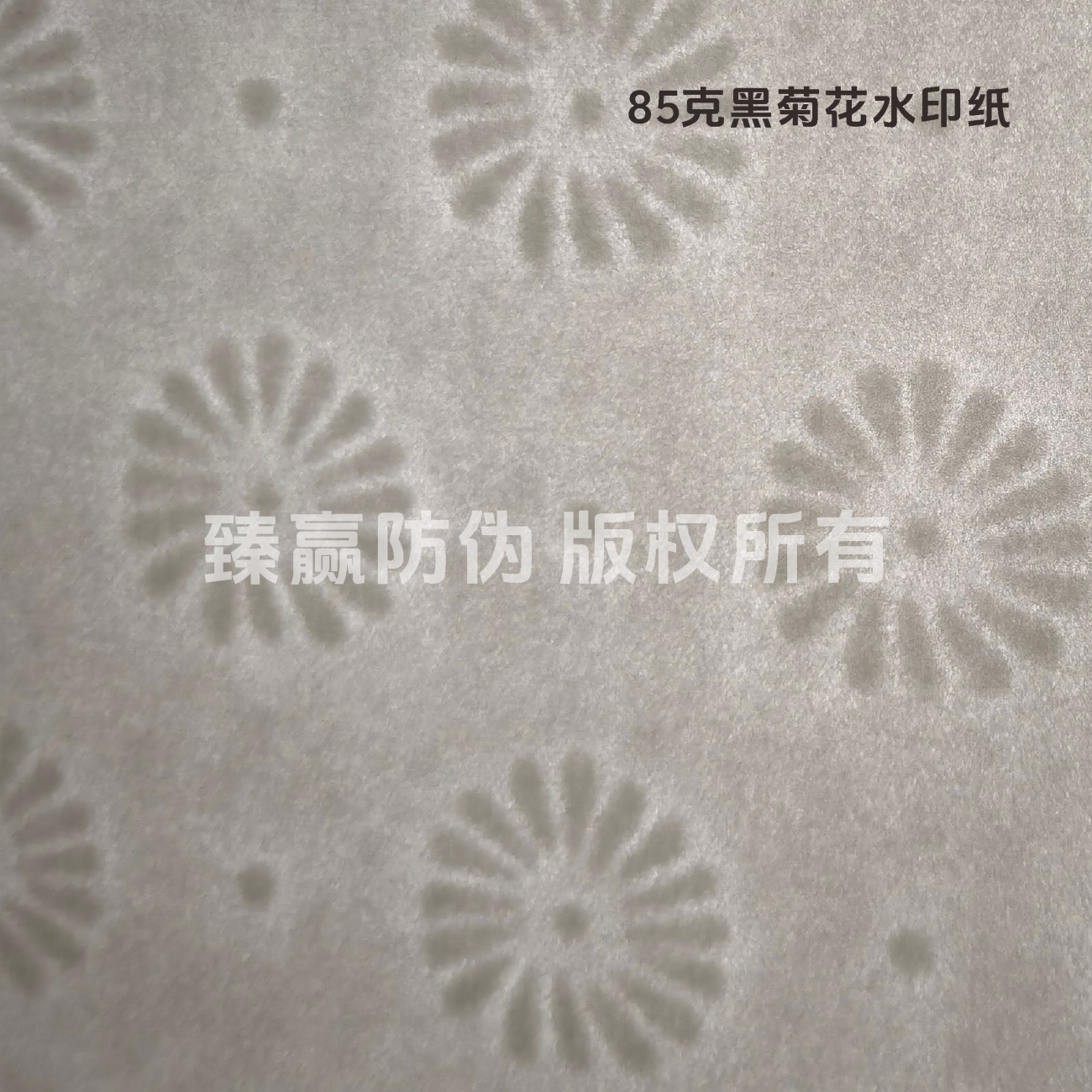 85克黑菊花水印纸