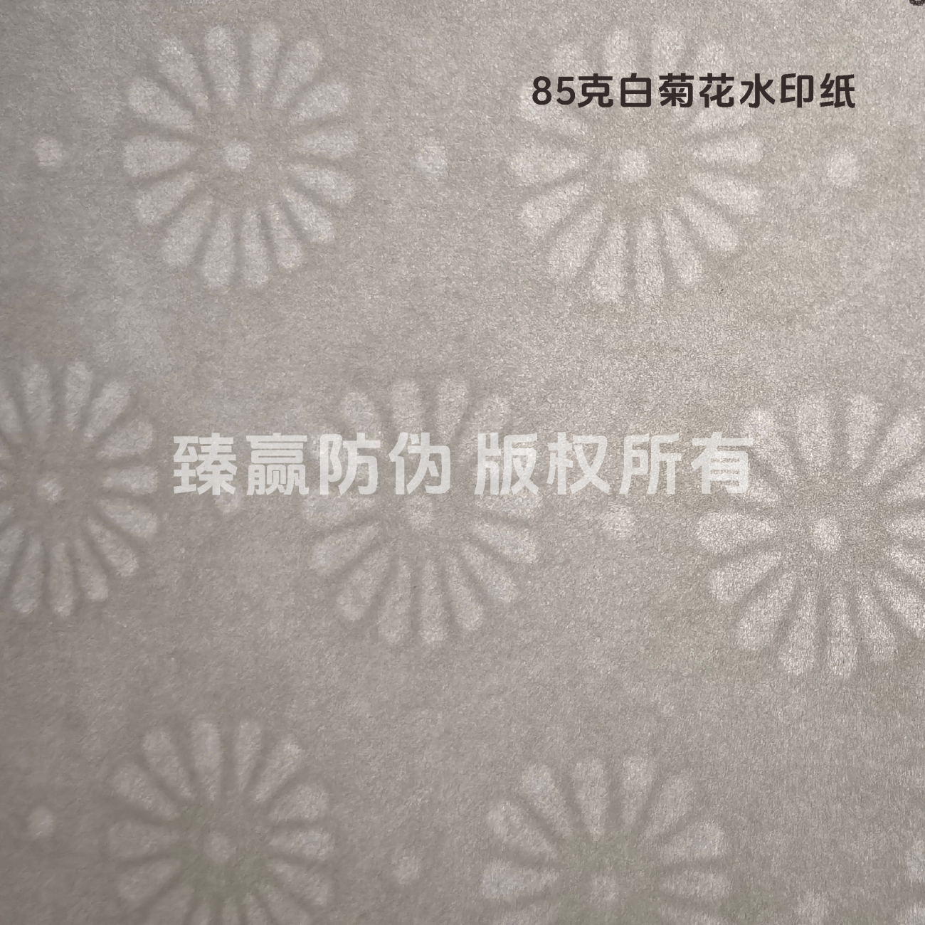 85克白菊花水印纸