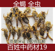 Yi Mont Full Scorpion 100 gr Clean Water Whole Worm 80% Dry Pincers Scorpion Scorpion Leech Centipede Dried Chinese Herbal Medicine