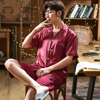 Короткий, полосатый винный красный человек L383