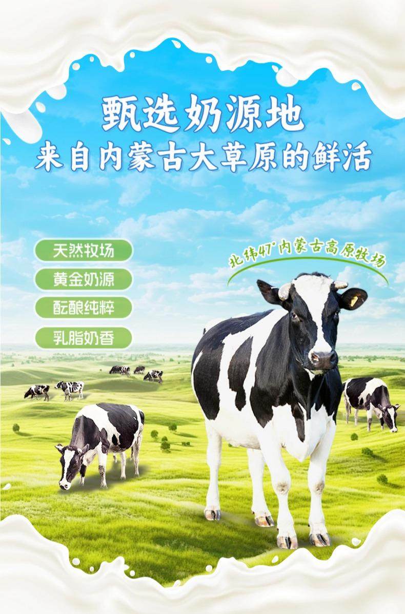Grassland Fresh Milk Crispy Roasted Milk Skin Strips High Calcium High Protein Dairy Snack 300g quality and texture