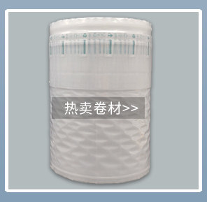 EBIS подробно описывает несколько моделей_05.jpg