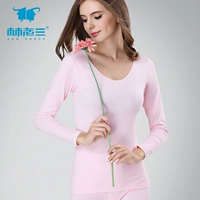 Lin Laosan quần áo ấm của phụ nữ cơ sở cotton đơn áo sơ mi cổ tròn áo len cotton bó sát phần mỏng màu mùa thu áo giữ nhiệt nữ cổ 3cm	