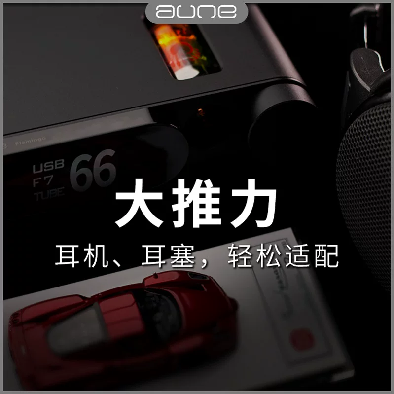 Оулайль аonе Flamingo Firebird Расшифровка HIFI DSD512 Аудио Bluetooth Электронная трубка лысый