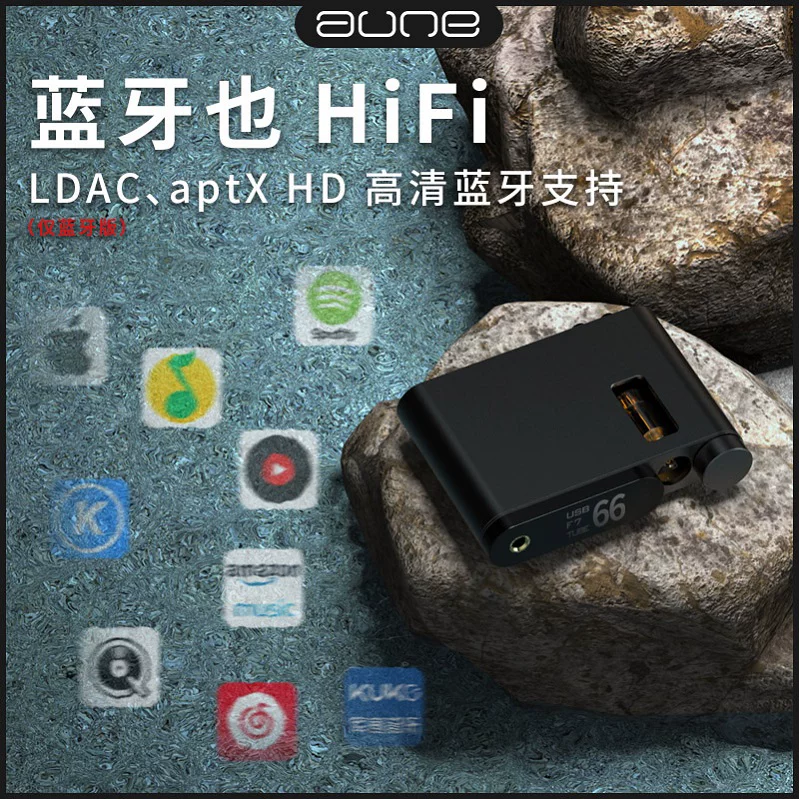 Оулайль аonе Flamingo Firebird Расшифровка HIFI DSD512 Аудио Bluetooth Электронная трубка лысый