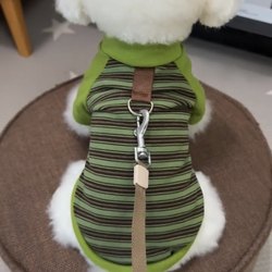 Pet Dog Spring and Autumn Clothes, Cute Sweatshirt for Small Dogs Like Teddy, Bichon, Pomeranian, Can Be Used with Leash, Spring and Autumn Clothing for Cats