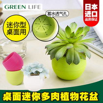 Imported KANEYA fleshy plant plastic round mini stone pill flowerpot breathable water storage and waterlogging prevention split