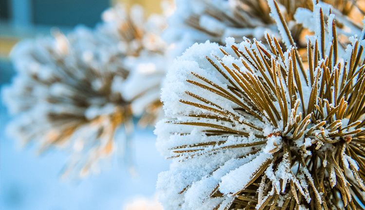 年少好时节漫游雪乡2..