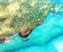 Find card color ink pw flower marks series 5ml gift box