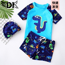 DK childrens swimsuit Boys split short-sleeved small medium and large childrens boys baby cartoon dinosaur net red quick-drying swimming suit