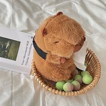 Car plush creative cute cartoon tissue box doll plush hanging car tissue box